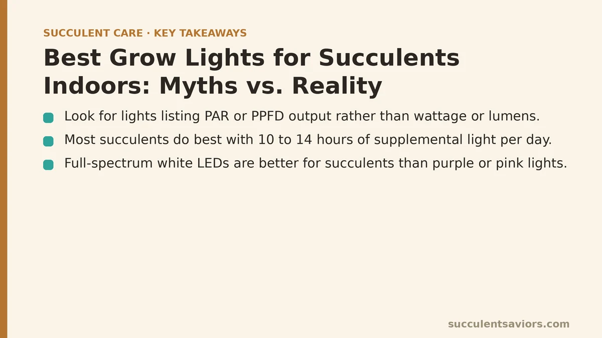 Best Grow Lights for Succulents Indoors: Myths vs. Reality